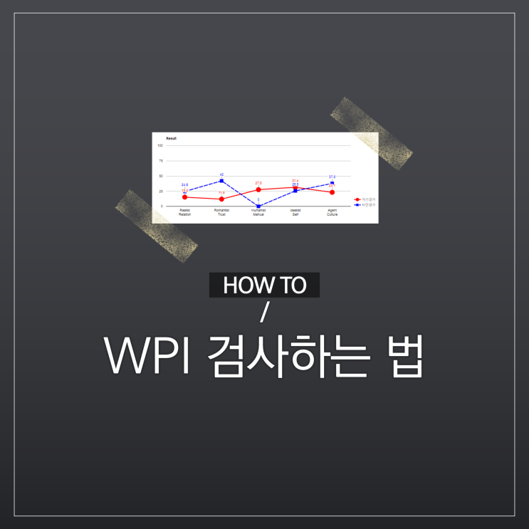 [WPI 검사] WPI 검사 방법 안내 : 네이버 블로그