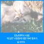 [강남대학교 사설] ‘개 같은’ 사람들에 대한 ‘아싸’ 옹호기