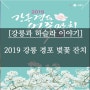 [강릉과 하슬라이야기]2019 강릉경포벚꽃잔치