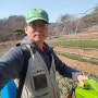 유황농법으로 키우는 김명복팜의 코끼리마늘