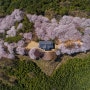 2019년 4월 2일 벚꽃이 활짝 만개한 하동 쌍계사 십리벚꽃길 벚꽃여행과 구례가 한눈에 바라다보이는 봉성산