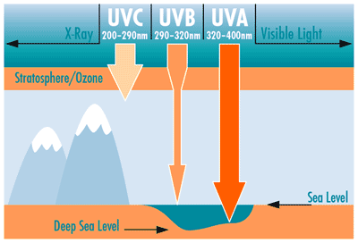 UVA UVB UVC