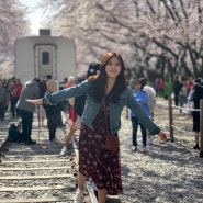[4월 벚꽃구경] 진해 군항제 / 여좌천 로망스 다리 / 경화역 / 서울에서 출발하여 진해 당일 벚꽃 여행다녀오기