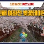 대한민국 벚꽃축제의 메카 여좌천을 가다.