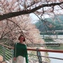 하동 벚꽃축제 경남 하동 쌍계사 십리벚꽃길 후기