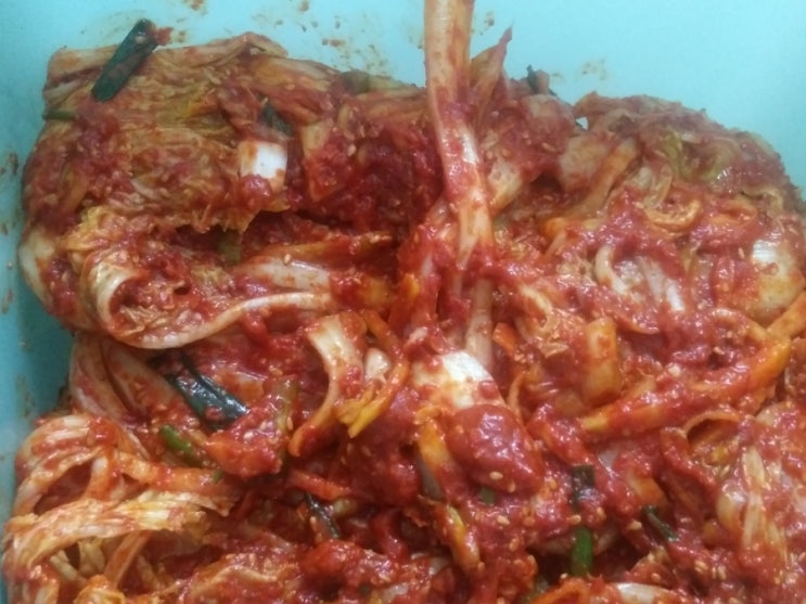 배추김치맛있게담는법 봄배추김치 입맛살리는 김치 : 네이버 블로그