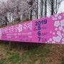 [201904] 서울의 봄 - 양재천