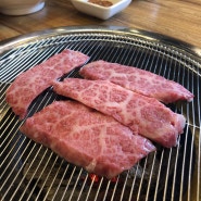 [부산 해운대 한우/부산 해운대 맛집] 합리적인 가격에 최고급 한우를 푸짐하게~ 해운대 한우참사랑