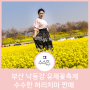 대저 생태공원에서 열리고 있는 부산 낙동강 유채꽃축제에서 만난 수수한의 맞춤 패션 생활한복 허리치마
