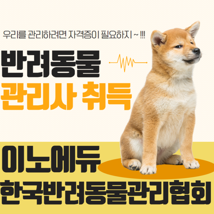 고졸 반려동물관리사 취득  후기!!!(한국반려동물관리협회 발급) : 네이버 블로그