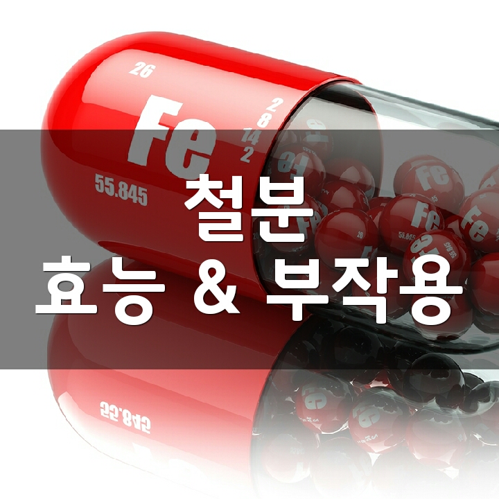 철분 (Iron) 효능, 부작용, 권장량, 제품 순위 : 네이버 블로그