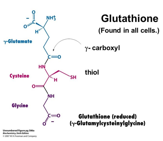 glutathione capsule for skin whitening (2 Pack) Glutathione Pills 120 Pcs, Protect Liver Health & Skin Care  Capsules