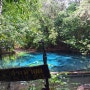 [동남아 배낭여행 D+55] 크라비 아오낭비치에서 에메랄드 풀, 블루 풀 찾아가기 (Emerald Pool, Blue Pool)