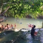 [동남아 배낭여행 D+55] 크라비에서 즐기는 온천! 핫 스프링스 (Krabi Hot Springs)