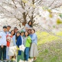 아름다운 봄 가족 야외촬영