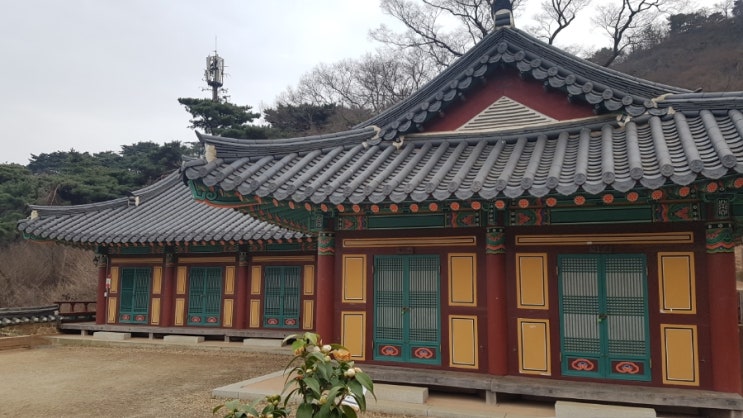 한국사 고대국가 특징 정리- 부여, 고구려, 옥저, 동예, 삼한 : 네이버 블로그