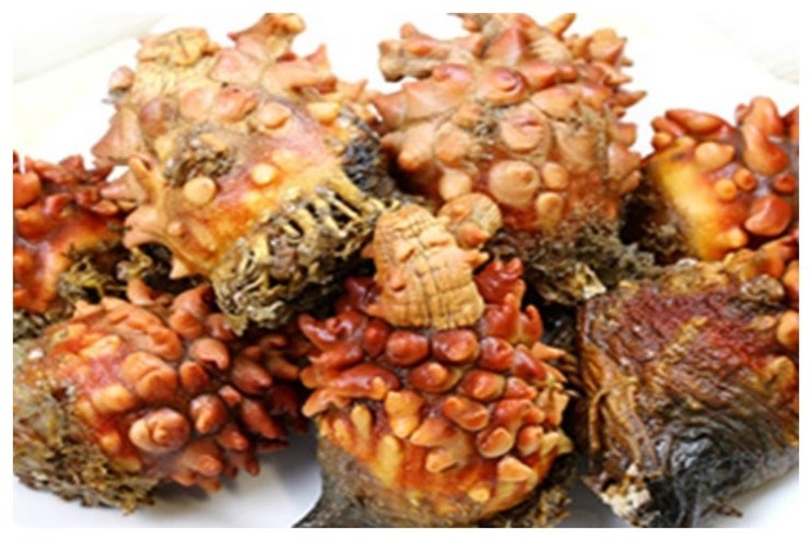 4월 제철 수산물 멍게~* 자연산멍게와 양식 구분하는법!? 손질법, 효능! : 네이버 블로그