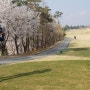 4월 꽃 피는 계절 대영힐스cc 골프여행 주말 패키지 미 청코스 코스 공략
