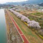2019년 4월 10일 전북 완주 구이저수지 벚꽃축제와 모악산의 아름다운 벚꽃터널