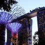싱가포르 가든스바이더베이 기념품샵& 싱가폴 야경