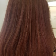 핑크색머리,핑크염색,애쉬핑크,컬러체인지,헤어스타일추천 -제니하우스 고야