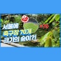 [뚜벅이 3분여행] 9호선 마곡나루역 : 서울식물원