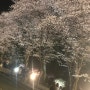 인천대공원 벚꽃축제 미디어 아트 조명