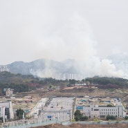 대전 산불
