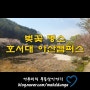 [배방소식] 아산배방읍벚꽃명소 "호서대아산캠퍼스"