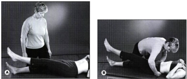 능동적 하지직거상 검사 (Active Straight Leg Raise test, ASLR) : 네이버 블로그