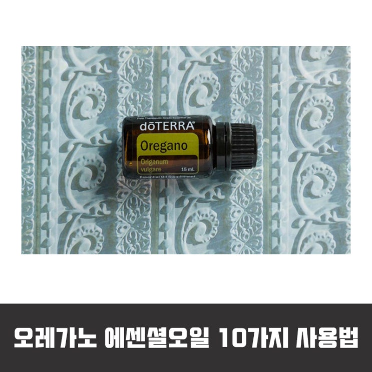 오레가노 에센셜오일 10가지 사용법 정리 : 네이버 블로그