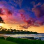 하와이 신혼여행 필수템 :: 와이키키 트롤리 그린라인 & 레드라인