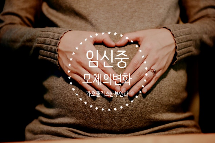 임신초기 임신중기 임신후기 모체의 변화 : 네이버 블로그