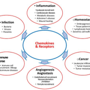 Chemokine Detection Kits