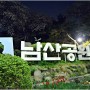 남산 밤 벚꽃 / 동국대 연등