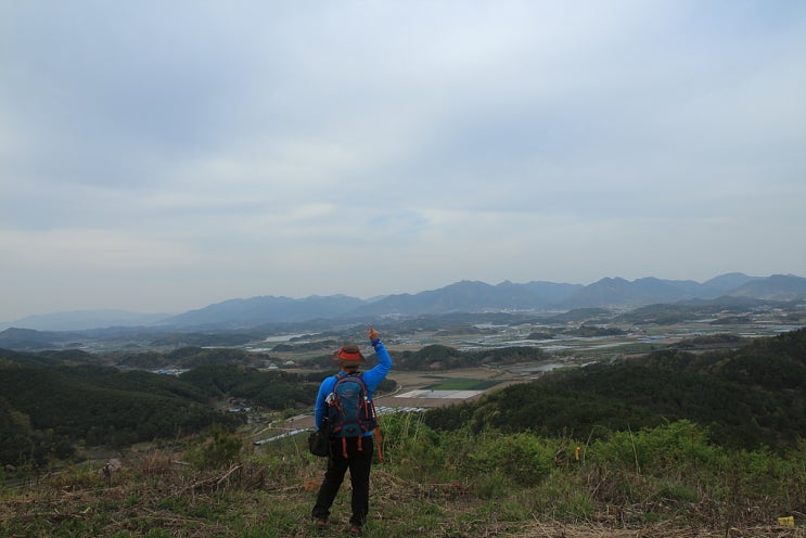 [창녕] 남지개비리길.마분산.도초산,유채꽃축제 창녕가볼만한곳