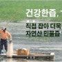 [건강한즙] 블로그의 방향에 대하여 (feat. 업체 소개 등)