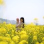 [아이와 가볼만한 곳 / 부산여행] 부산 대저생태공원, 유채꽃 엔딩! 지고 있지만 예뻐요~♥