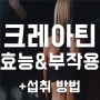 크레아틴 효과 (feat. 기원 / 효능&부작용[탈모] / 복용법)
