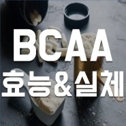 BCAA 효능 (feat. 실체 & 효과)