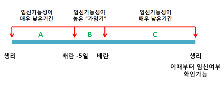 임신 가능성 확인 - 언제 확인해야 확실한가? : 네이버 블로그