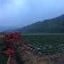 비오는날 착한농장 풍경