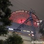 [19년 1월/일본 오사카] 간사이 3박4일 자유여행 : 오사카 우메다 랜드마크 헵파이브(HEP FIVE) 대관람차