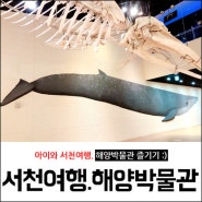 서천여행 :) 아이와 가볼만한 곳 국립 해양 박물관 (생물자원관)