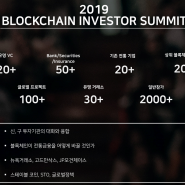 2019 블록체인 인베스터 썸밋 티켓 에어드랍