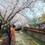 [국내여행] 진해 봄꽃 여행