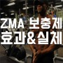 ZMA 효과와 실체 (feat. 테스토스테론 / 단백 동화 / 이론적 근거와 배경)