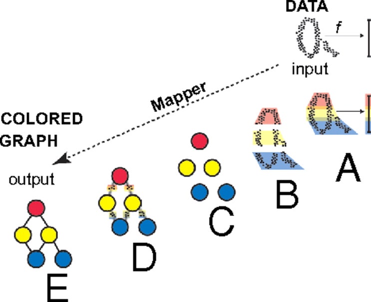 Topological Data Analysis(TDA), 유방암 : 네이버 블로그