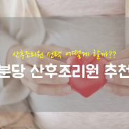 [성남 분당] 프리미엄 배냇 산후조리원 추천!!