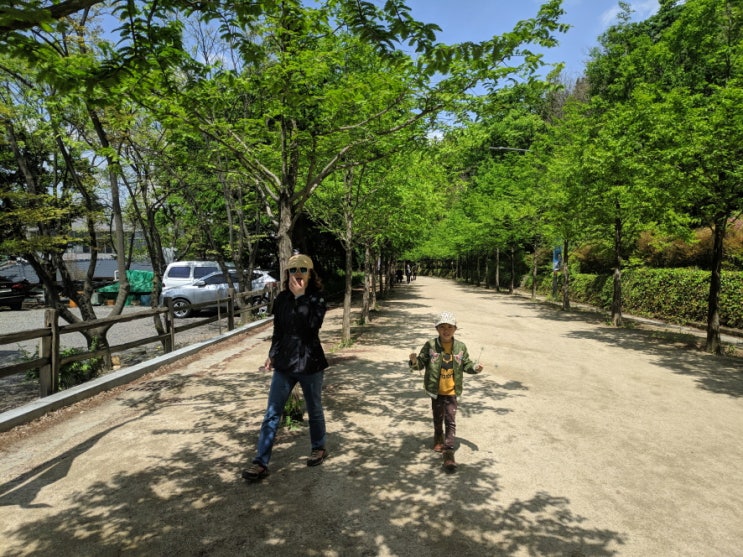 앞산 고산골, 공룡공원 산책로 탐방(2019년 4월 27일)